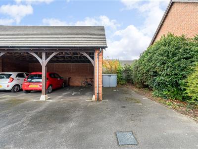 Picture 19